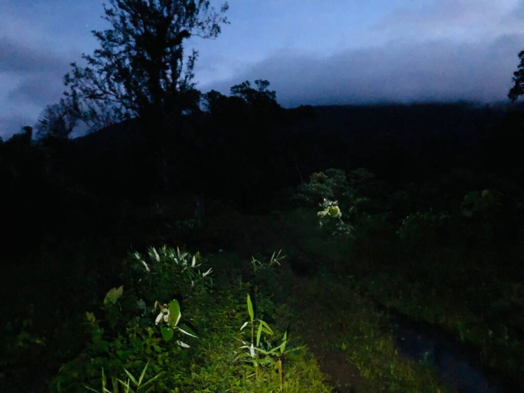 ភ្នំ១៥០០ ស្រុកវាលវែង 4 IMG 6298