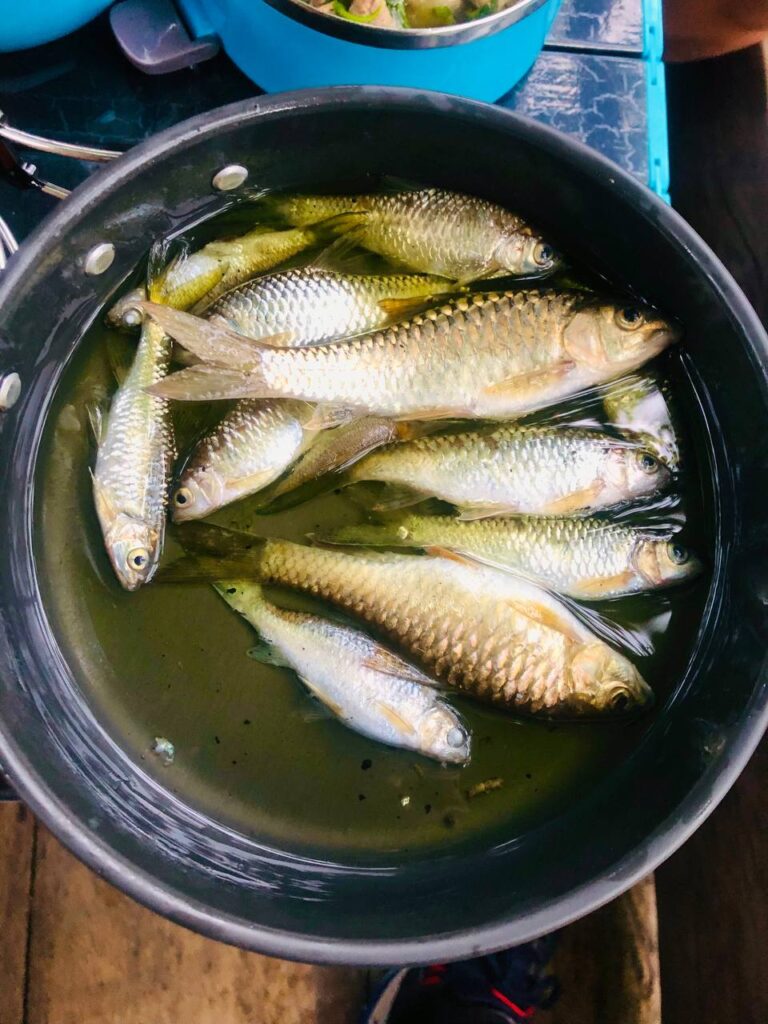 ភ្នំ១៥០០ ស្រុកវាលវែង 16 IMG 6302