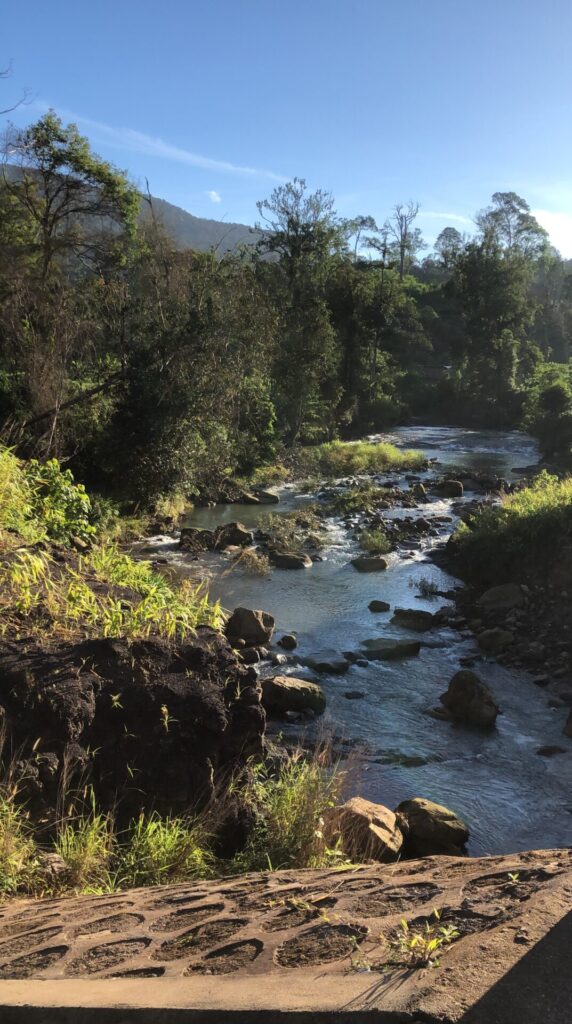 ភ្នំ១៥០០ ស្រុកវាលវែង 20 IMG 8645