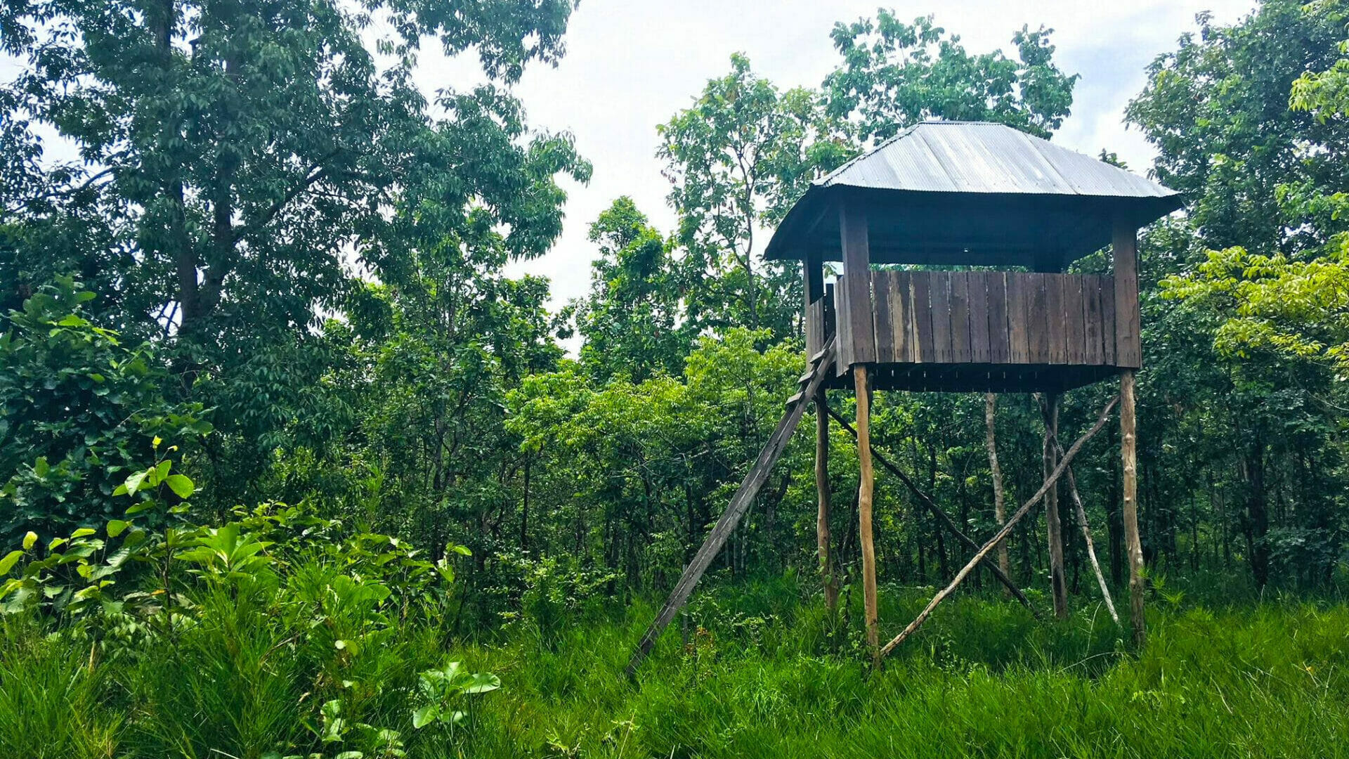បាក់ត្រា ខេត្តពោធិ៍សាត់ 3 image 2 43 edited
