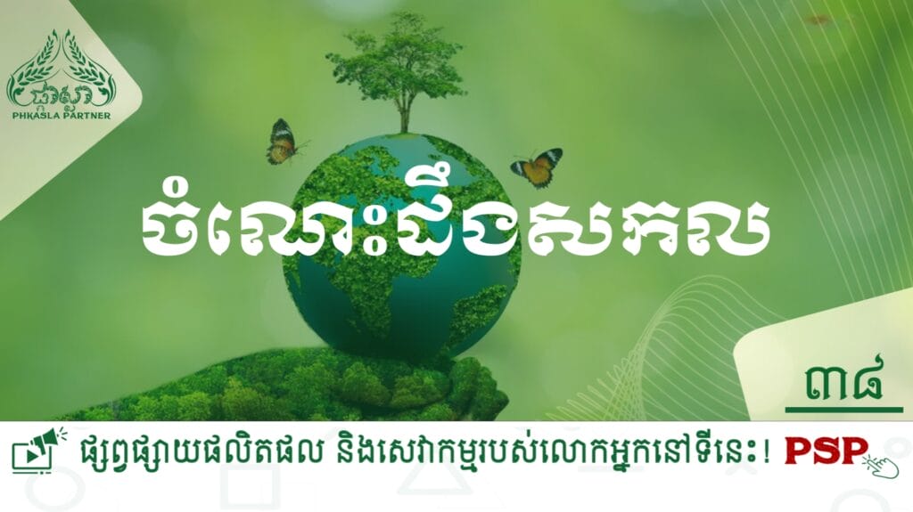 អាណត្តិសម្រាប់មេដឹកនាំផ្សេងៗ ក្នុងពិភពលោកនិងអាស៊ី 2 20231102 102439
