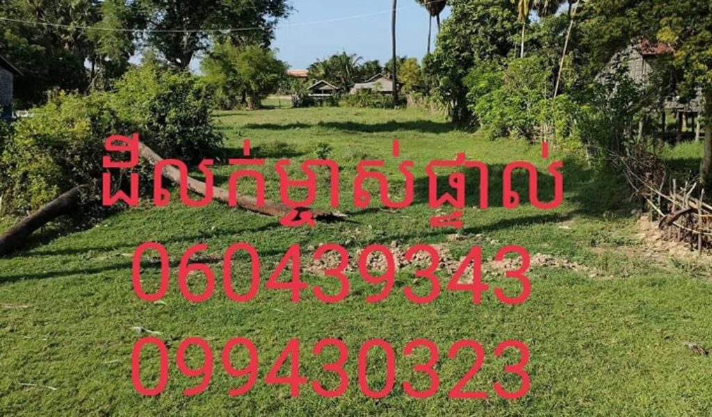 307311876_788002909103355_4093418024653512257_n