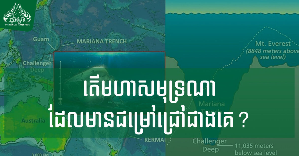 Makara's 20-Posters_18